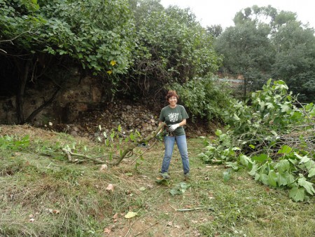 Voluntaris desbrossant el Molí de Lloberonsss